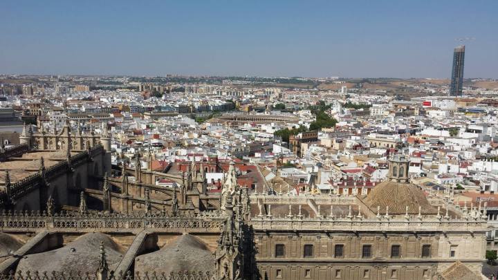 cathedral from giralda